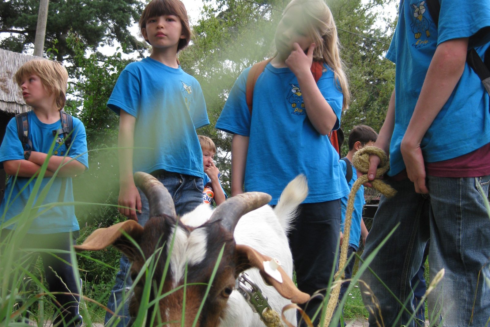 Englischcamp Englischferien Sprachreise für Kinder bei Berlin ab 499,- EUR, Bild 1
