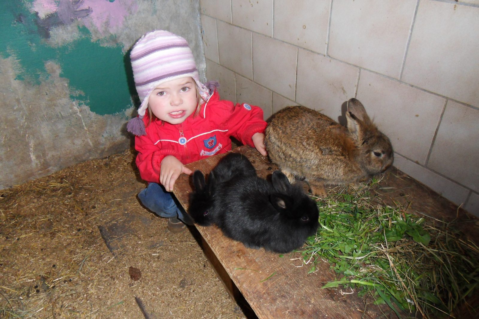 Familienurlaub