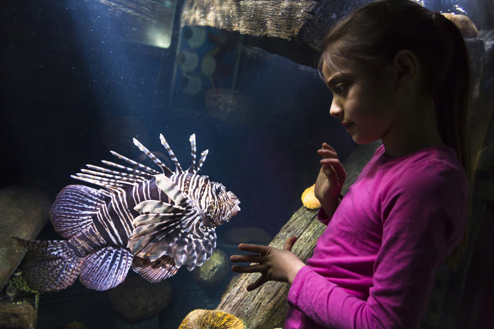 SEA LIFE Oberhausen, Bild 1