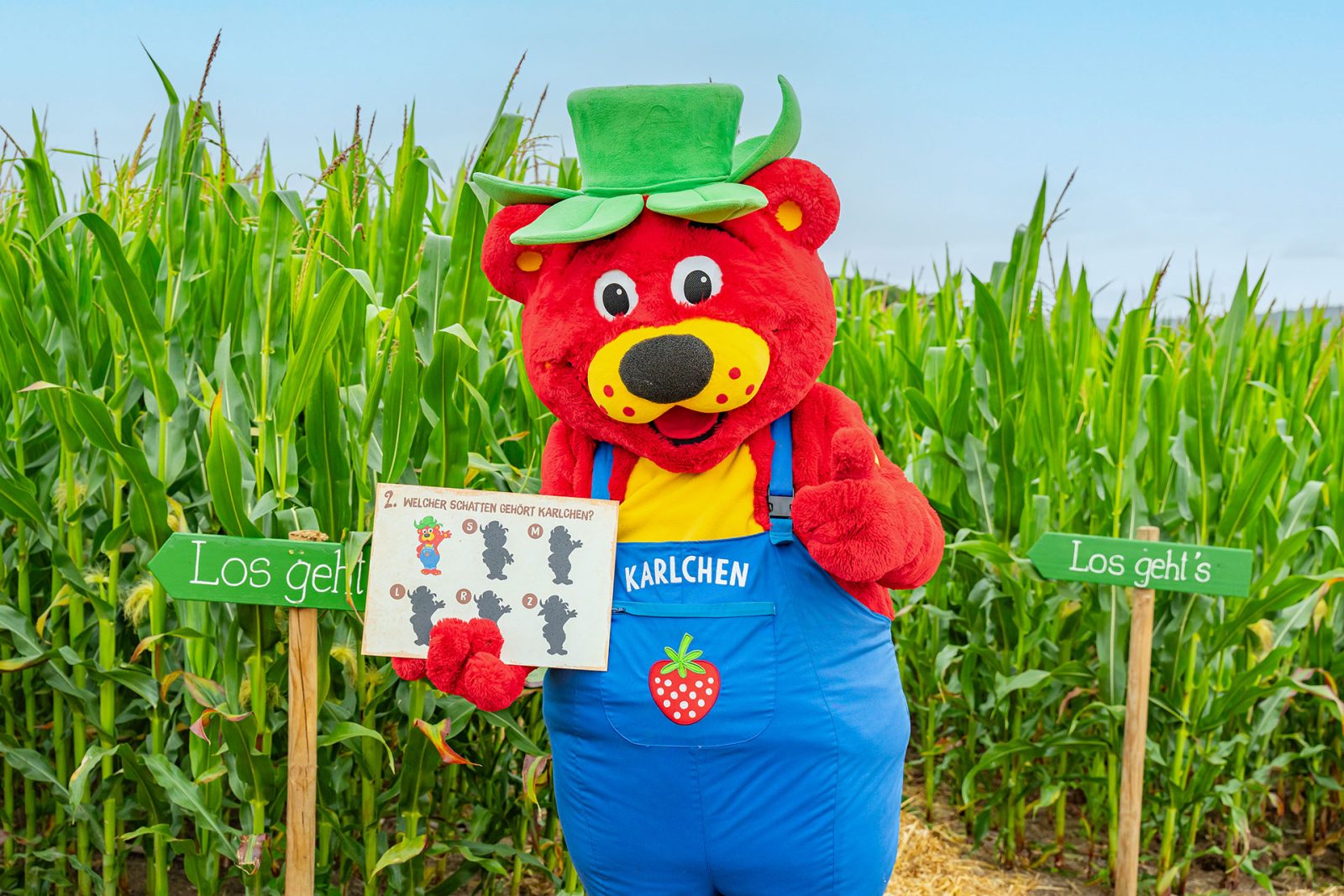 Maislabyrinth in Karls Erlebnis-Dorf Rövershagen 🌽🍓, Bild 1