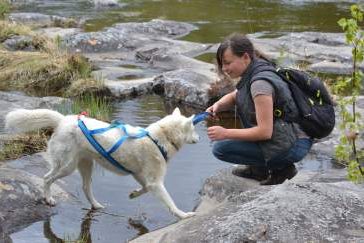 Husky-Wanderung, Bild 1
