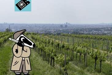 Detektiv-Trail Wien - in den Weinbergen: Spannende Schatzsuche für Rätselfreunde, Bild 1