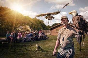 Kinderfalknerschule im Erlebniswald Trappenkamp