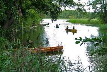 Paddelspaß im Müritz-Nationalpark und der Seenplatte, Bild 1