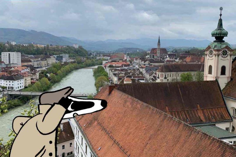 Detektiv-Trail Steyr: Spannende Schatzsuche für kleine und große Rätselfreunde, Bild 1